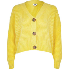 Aliquam tincidunt mauris